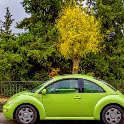 Get to know Volkswagen car